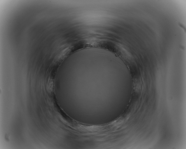 X0000096470036200801311544