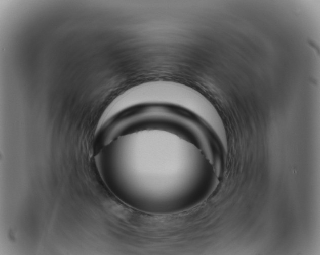 X0000096470037200801311544