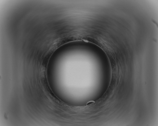 X0000096470038200801311544