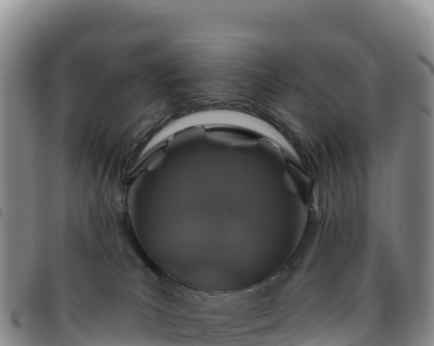X0000096470039200801311544