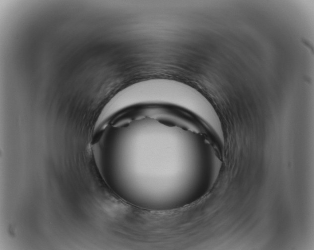 X0000096470041200801311544