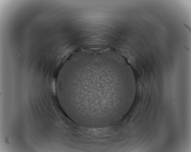 X0000096470042200801311544