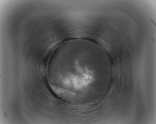 X0000096470043200801311544