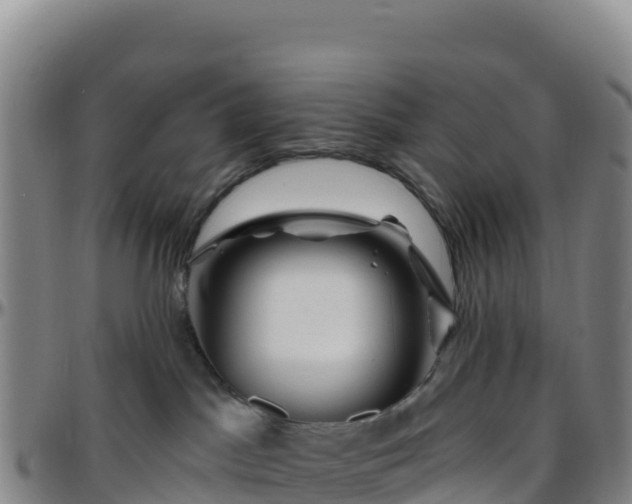 X0000096470045200801311543