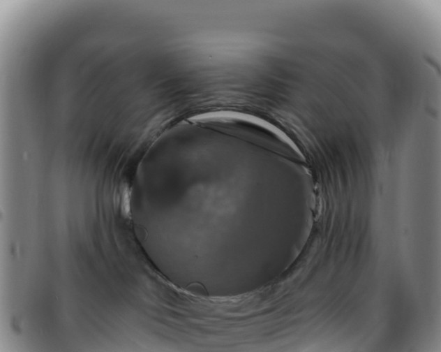 X0000096470046200801311543