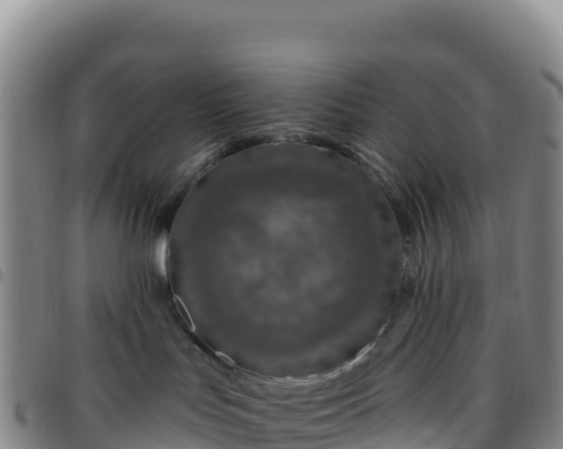 X0000096470047200801311543