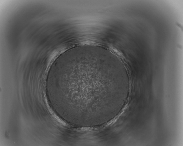 X0000096470049200801311543