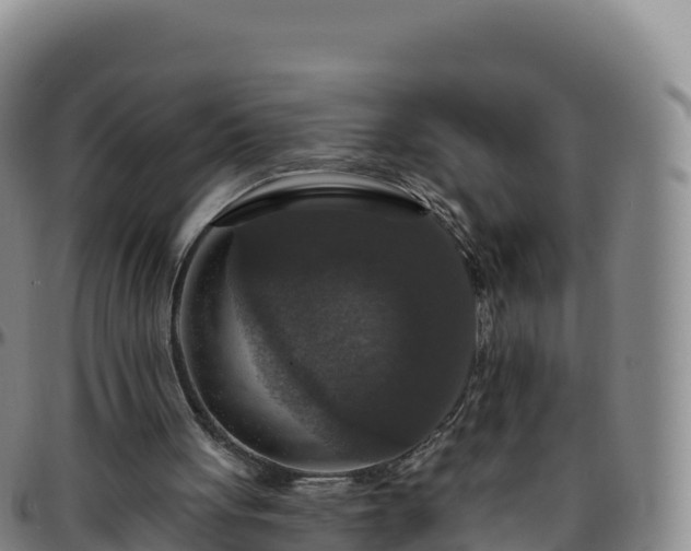 X0000096470051200801311543