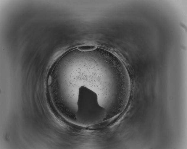 X0000096470055200801311543