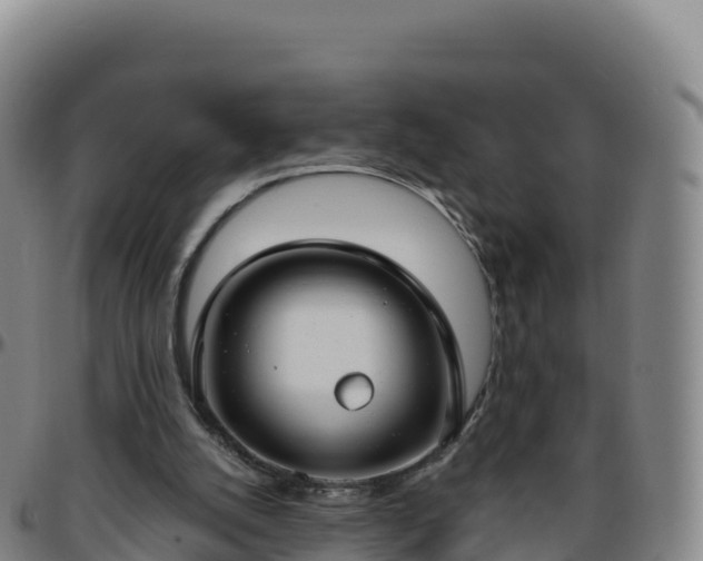 X0000096470056200801311543