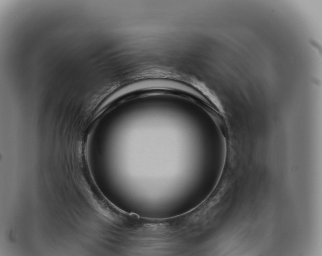 X0000096470057200801311543