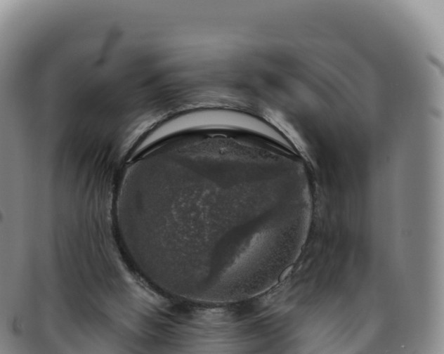 X0000096470058200801311543