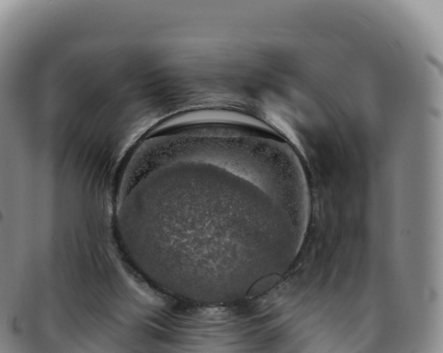 X0000096470059200801311543