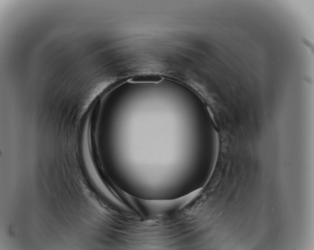X0000096470060200801311543