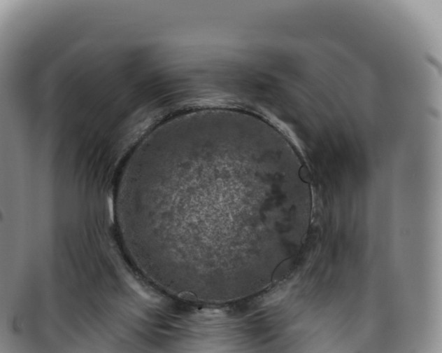 X0000096470061200801311543