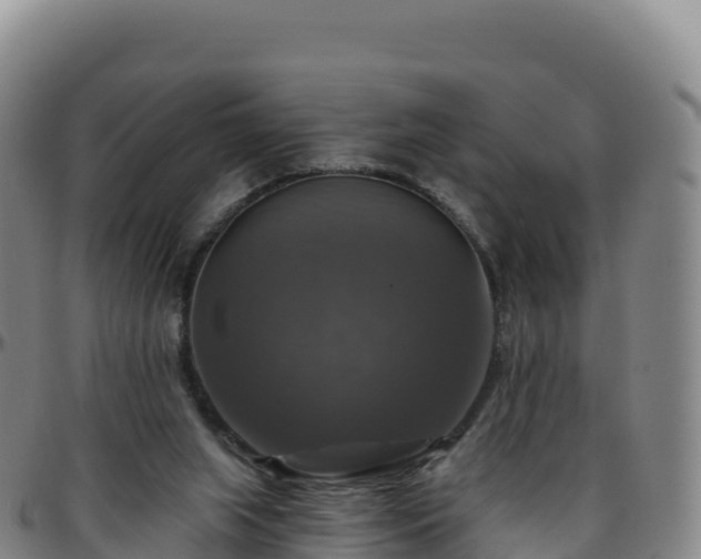 X0000096470063200801311543