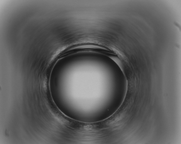 X0000096470064200801311543