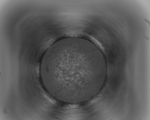 X0000096470065200801311543