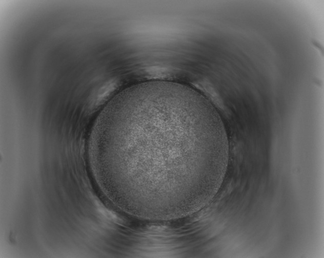 X0000096470066200801311543
