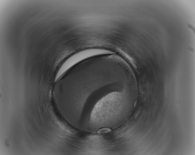 X0000096470067200801311543