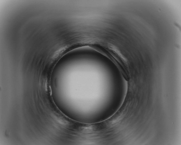 X0000096470068200801311543