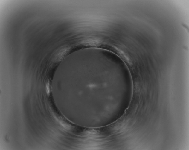 X0000096470069200801311543
