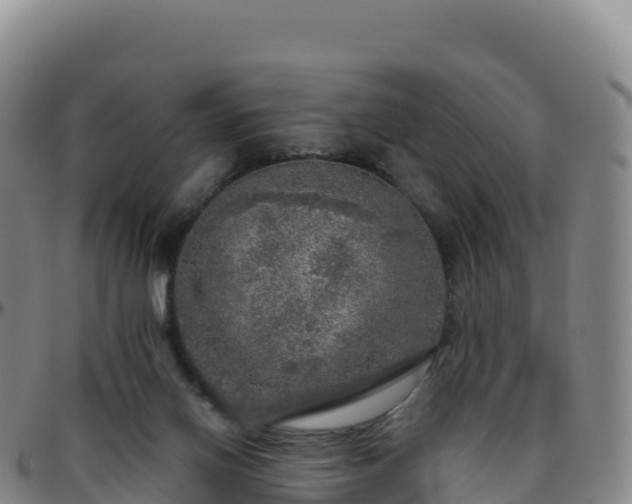 X0000096470070200801311543