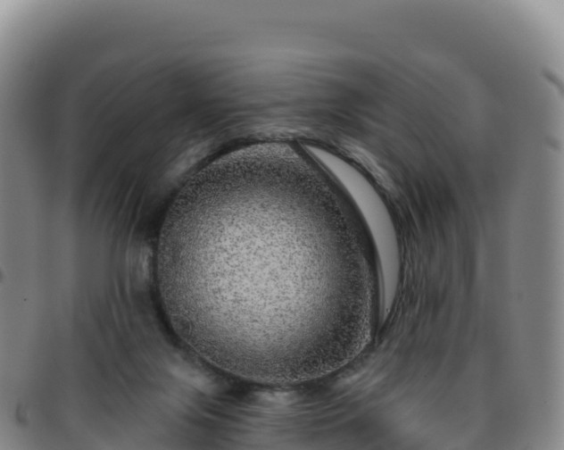 X0000096470071200801311543