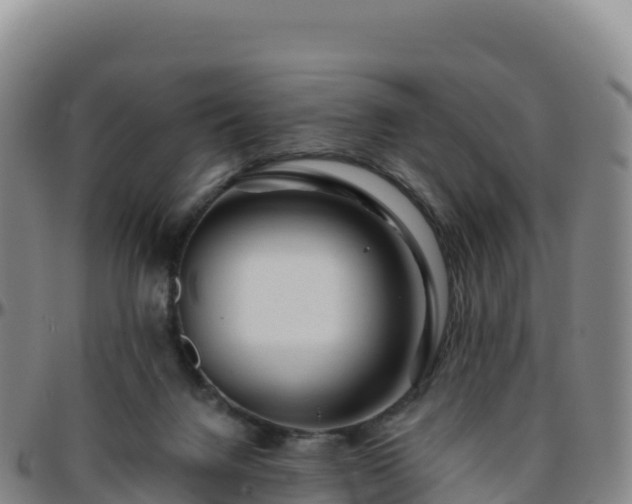 X0000096470072200801311543