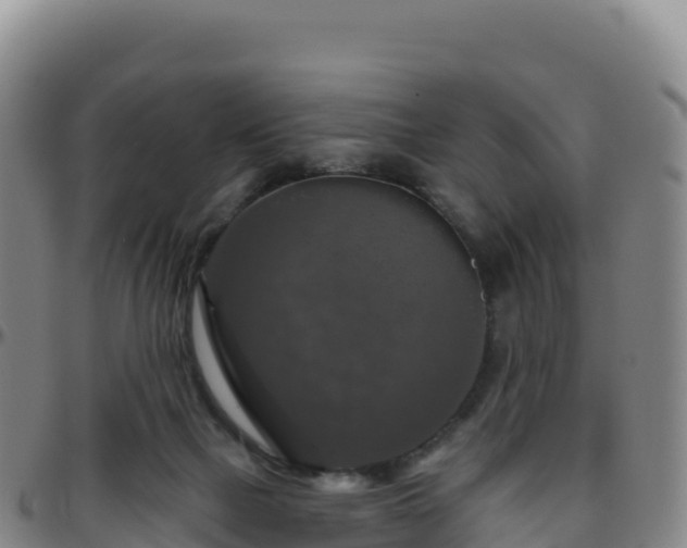 X0000096470073200801311543