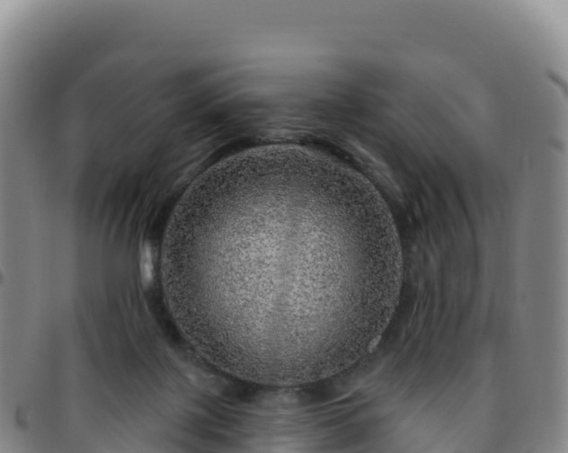 X0000096470075200801311543
