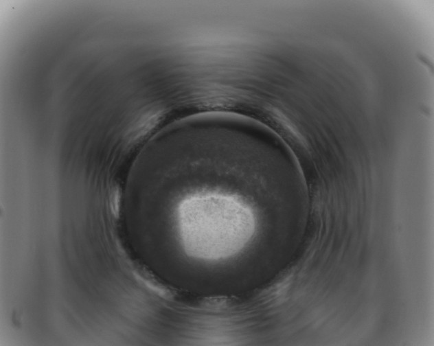 X0000096470076200801311543