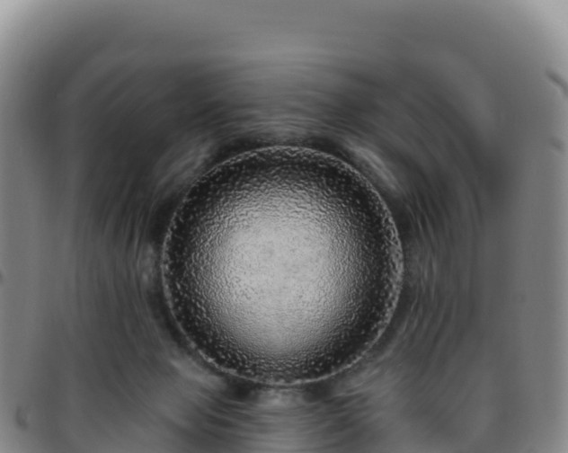 X0000096470077200801311543