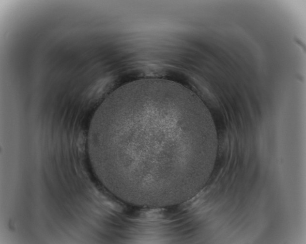 X0000096470078200801311543