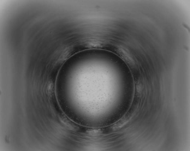 X0000096470079200801311543