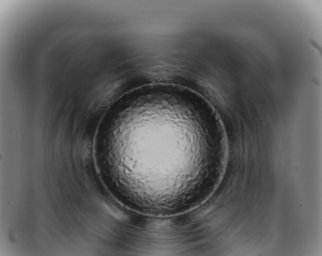 X0000096470081200801311543