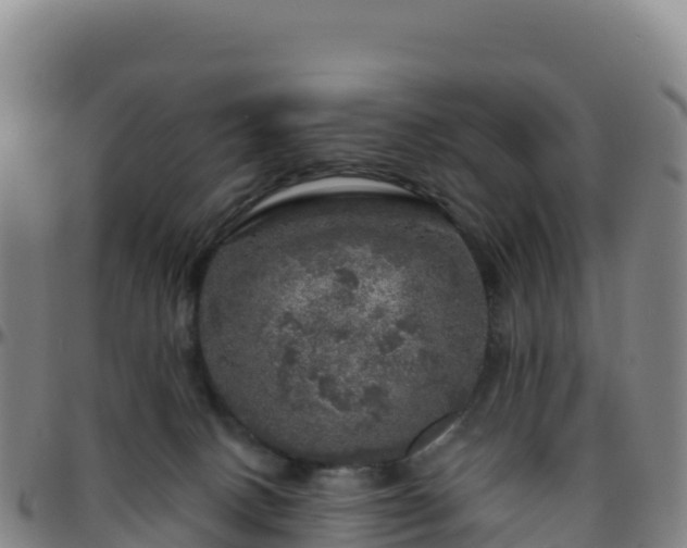 X0000096470082200801311543
