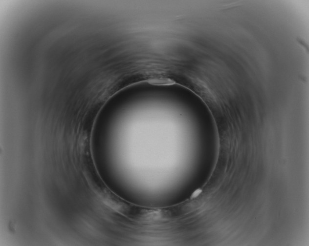 X0000096470083200801311543