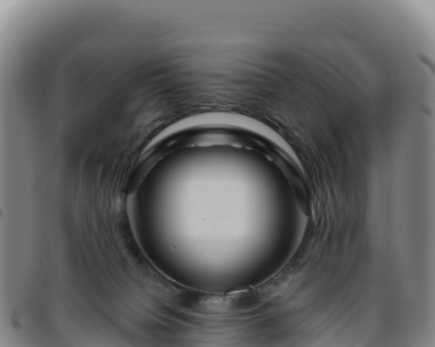 X0000096470084200801311543