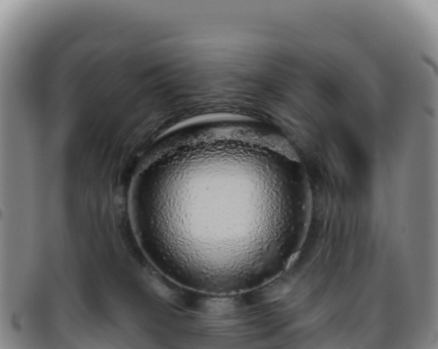 X0000096470085200801311543