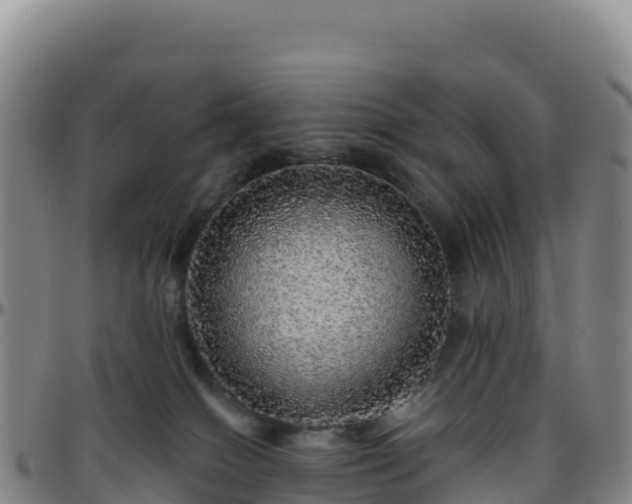 X0000096470086200801311543