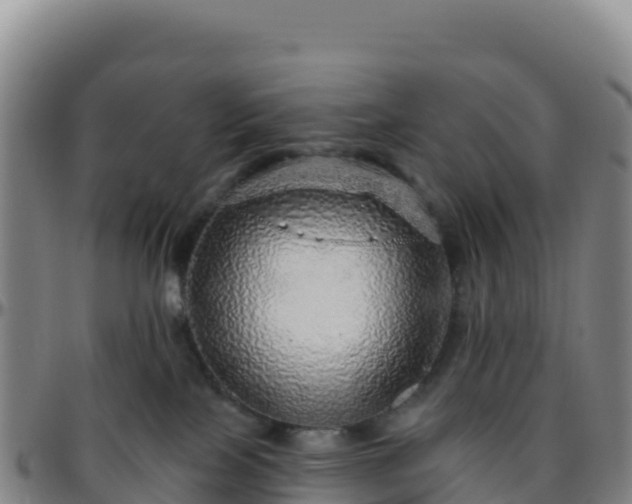 X0000096470089200801311543