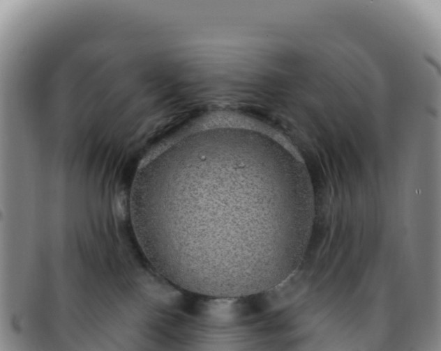 X0000096470090200801311543