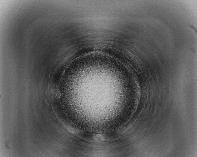 X0000096470091200801311543