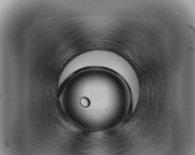 X0000096470092200801311543
