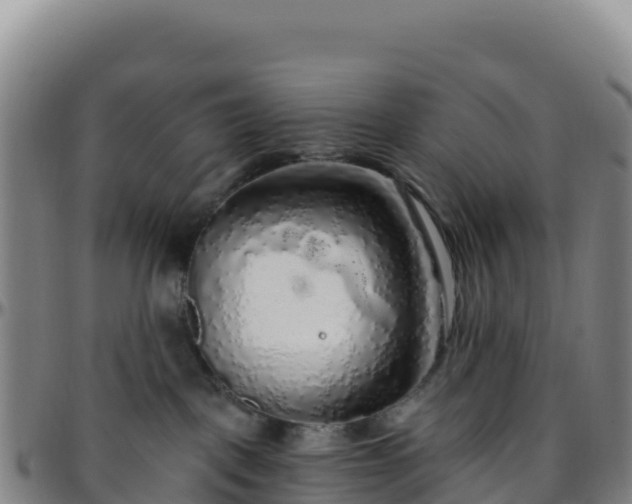 X0000096470093200801311543