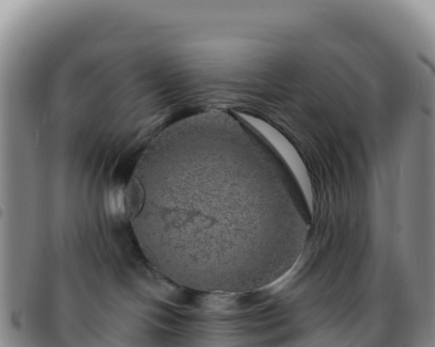 X0000096470094200801311543