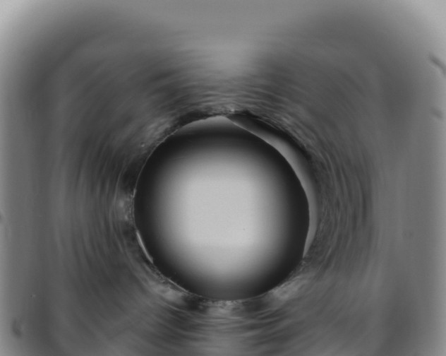 X0000096470096200801311543