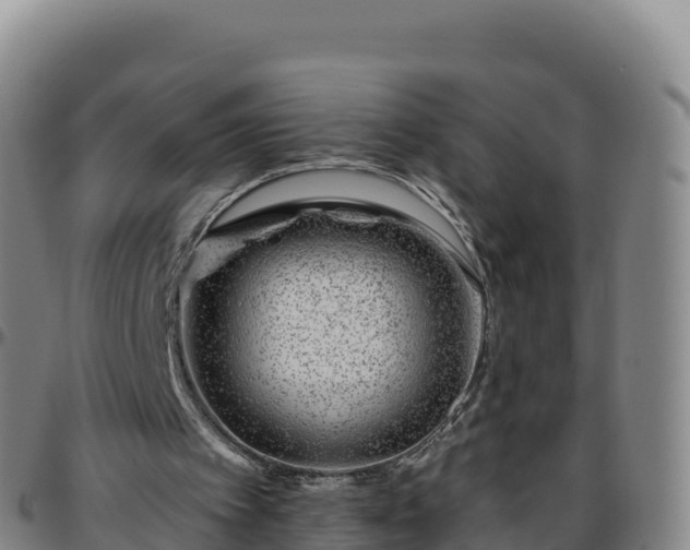 X0000096470097200801311543