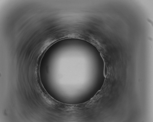 X0000096470098200801311543